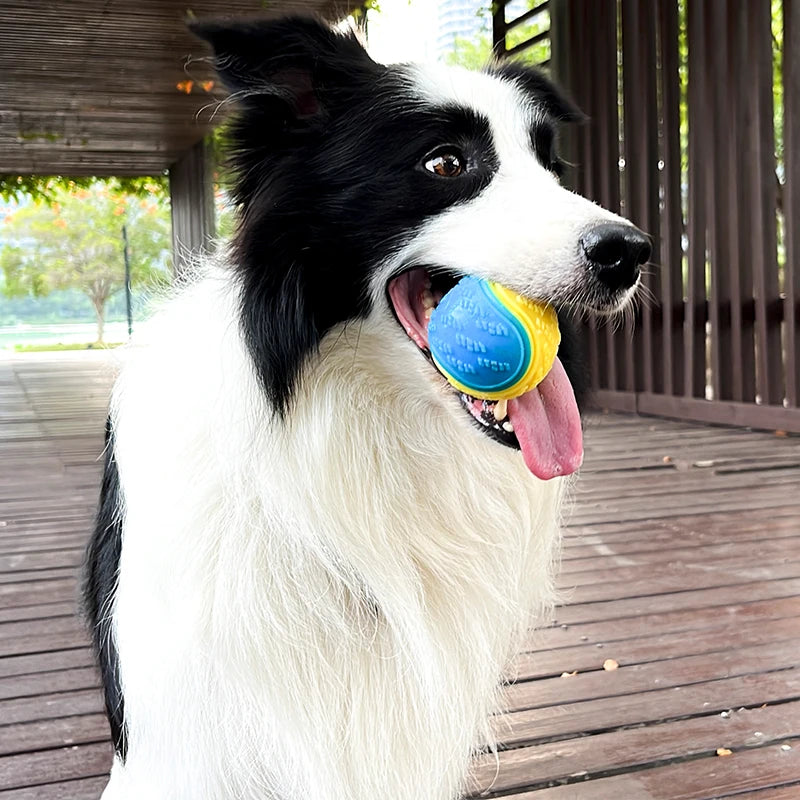 Bola de Brinquedo Para Cães